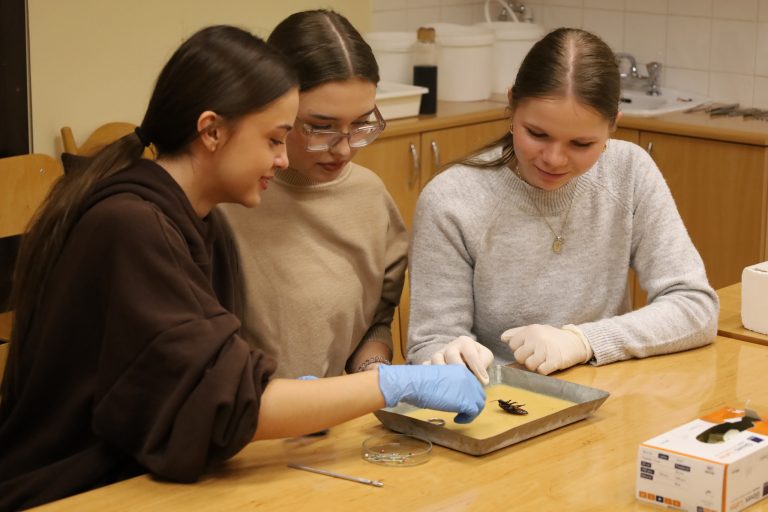 Jak co roku popularnością cieszyły się warsztaty sekcji karaczana madagaskarskiego.