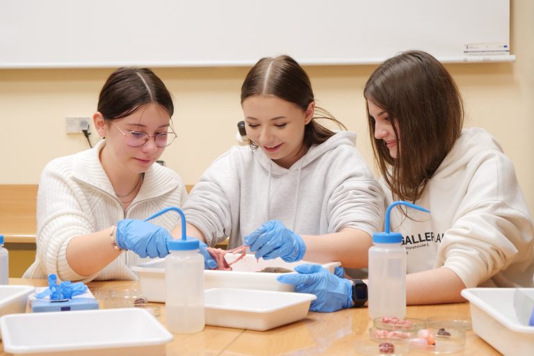 Trzy młode kobiety w jasnych bluzach pochylają się nad białą kuwetą podczas warsztatów. Mają na rękach niebieskie rękawiczki i z uwagą oglądają preparat anatomiczny. Na stole leżą przyrządy laboratoryjne, pęsety i butelki z dozownikami.