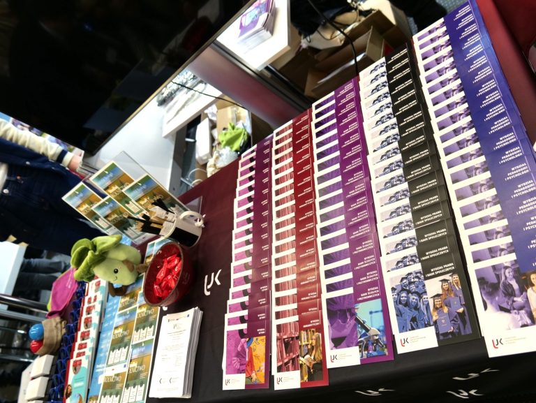 Vibe na Świętokrzyskie