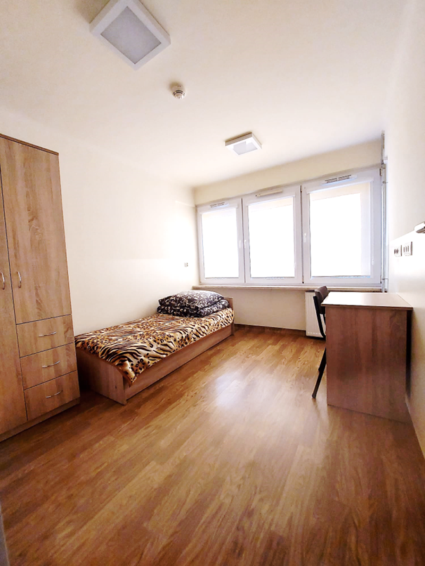 Zdjęcie przedstawia pok&oacute;j jednoosobowy w Domu Studenta Asystent. W pomieszczeniu znajduje się pojedyncze ł&oacute;żko z jasnobrązowym kocem, ciemnobrązową poduszką, biurko oraz krzesło. Pok&oacute;j jest jasny, z brązową wykładziną podłogową o deseniu drewna oraz drewnianymi meblami.