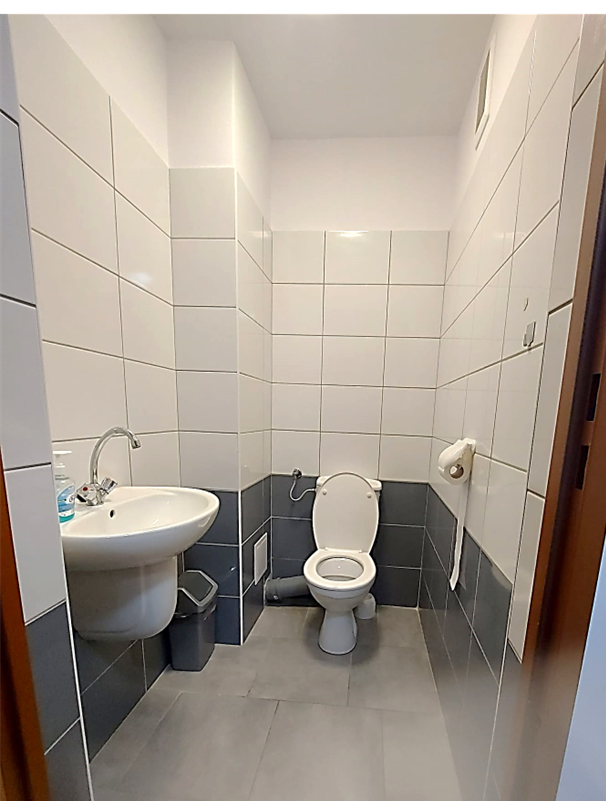 Zdjęcie przedstawia toaletę w Domu Studenta Asystent. Pomieszczenie wyłożone jest białymi oraz szarymi płytkami. Po lewej stronie znajduje się umywalka, kosz na śmieci, po prawej uchwyt na papier toaletowy. Pomieszczenie jest czyste, dobrze oświetlone i urządzona w prostym, funkcjonalnym stylu.